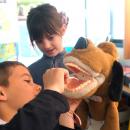 Le dentiste à l'école dans les classes de CE1